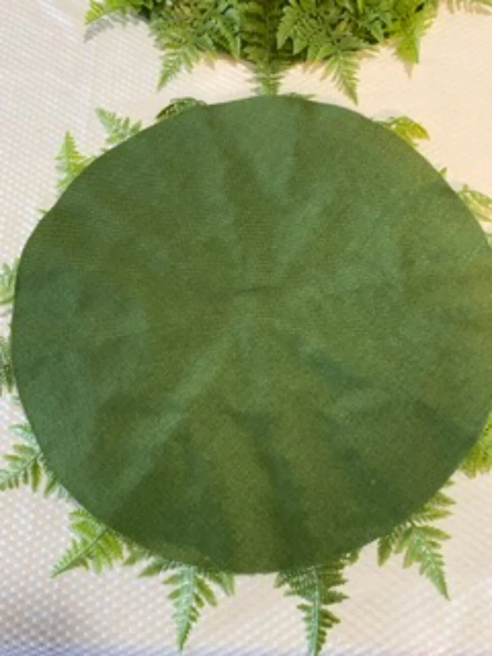 Pier 1 Fern Placemats Set of 4 NEW!